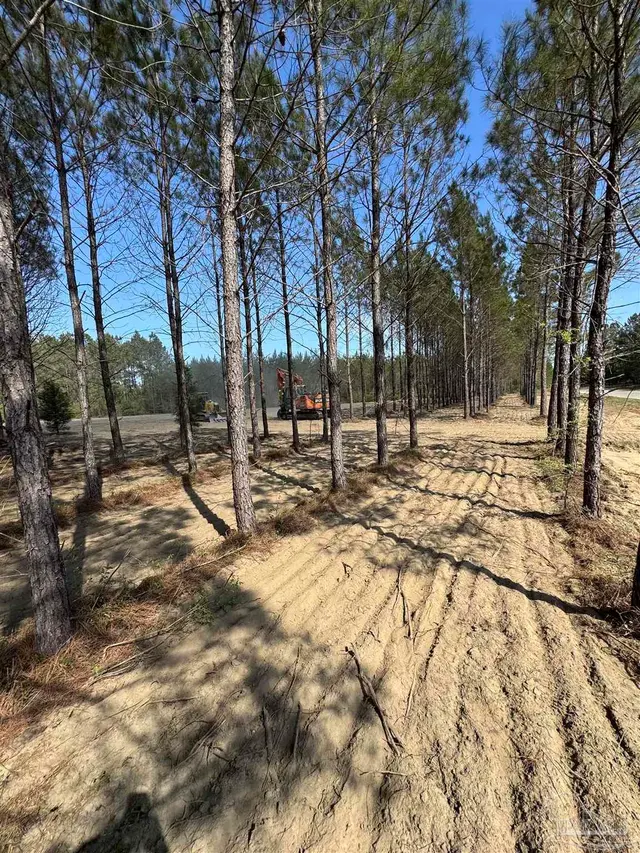 Lot 53 Sage Forest Ln property photo