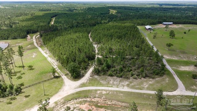 30 Acres Treetop Ridge Dr, Pace FL 32571 photo 6