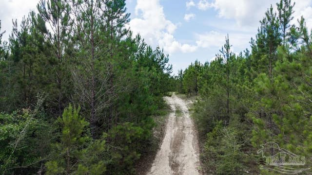 30 Acres Treetop Ridge Dr, Pace FL 32571 photo 17