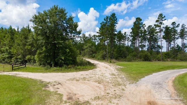 30 Acres Treetop Ridge Dr, Pace FL 32571 photo 16