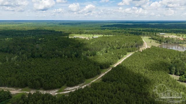 30 Acres Treetop Ridge Dr, Pace FL 32571 photo 12