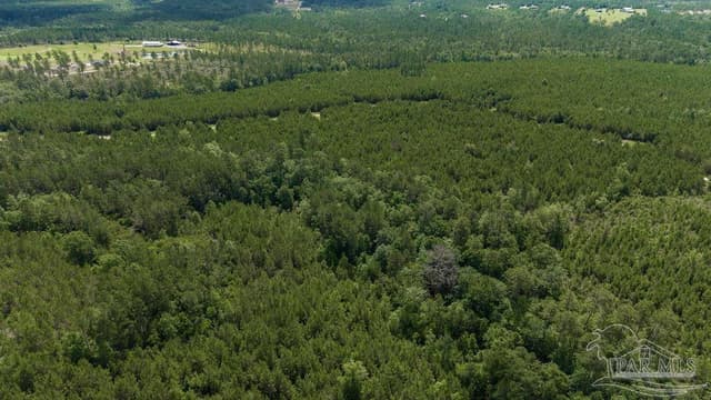 30 Acres Treetop Ridge Dr, Pace FL 32571 photo 9
