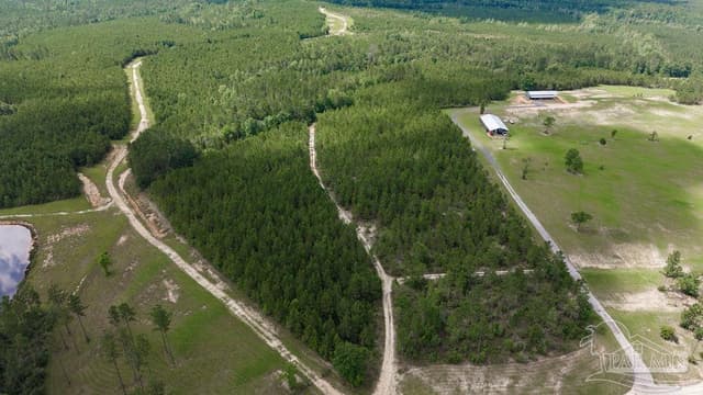 30 Acres Treetop Ridge Dr, Pace FL 32571 photo 10