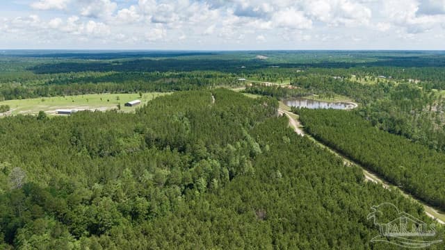 30 Acres Treetop Ridge Dr, Pace FL 32571 photo 14