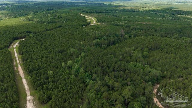 30 Acres Treetop Ridge Dr, Pace FL 32571 photo 15