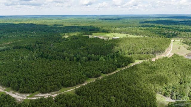 30 Acres Treetop Ridge Dr, Pace FL 32571 photo 11
