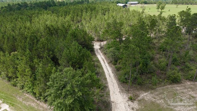 30 Acres Treetop Ridge Dr, Pace FL 32571 photo 4
