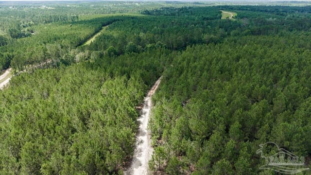 30 Acres Treetop Ridge Dr, Pace FL 32571 photo 8