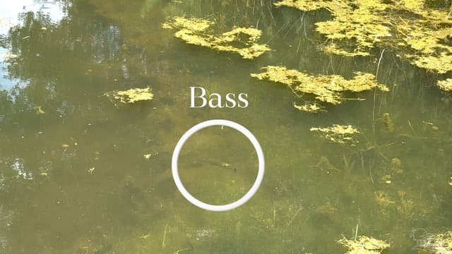296 Salters Lake Rd, Century FL 32535 photo 6