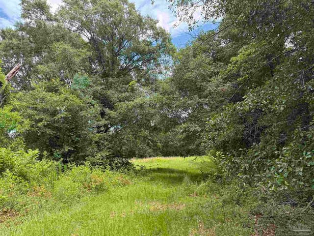 296 Salters Lake Rd, Century FL 32535 photo 17