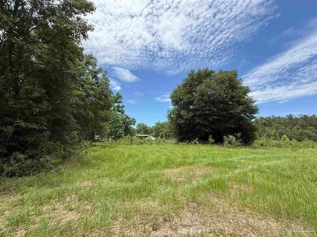 296 Salters Lake Rd, Century FL 32535 photo 16