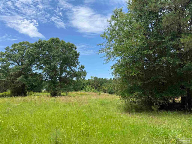 296 Salters Lake Rd, Century FL 32535 photo 32
