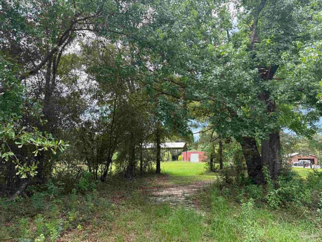 296 Salters Lake Rd, Century FL 32535 photo 20