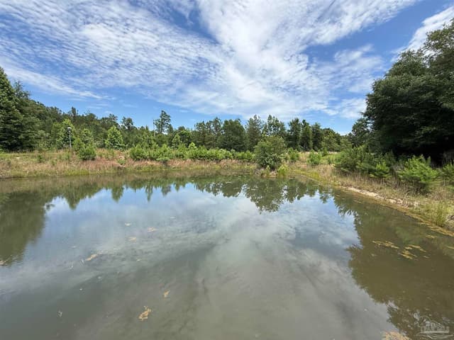 296 Salters Lake Rd, Century FL 32535 photo 24