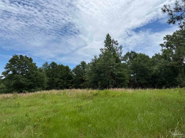 296 Salters Lake Rd, Century FL 32535 photo 30
