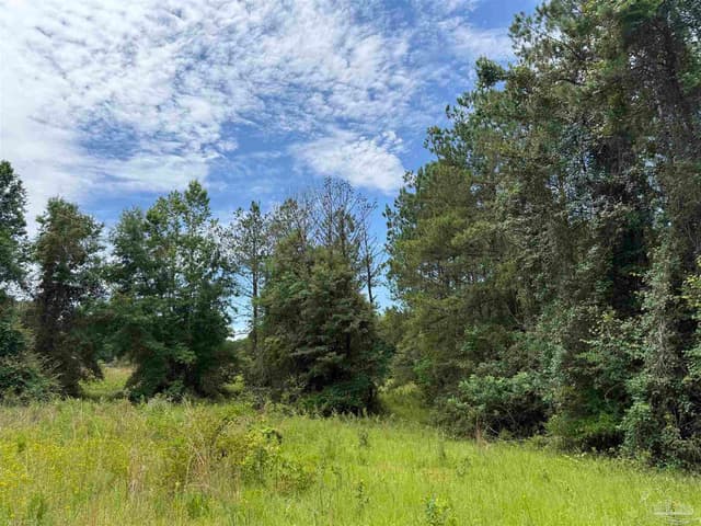 296 Salters Lake Rd, Century FL 32535 photo 34