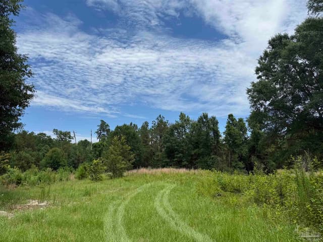 296 Salters Lake Rd, Century FL 32535 photo 18