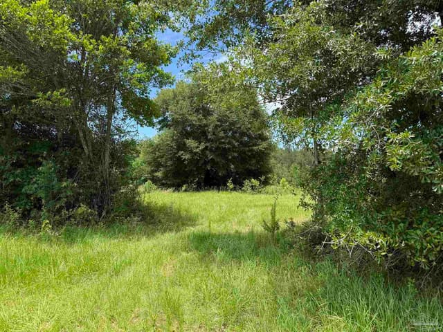 296 Salters Lake Rd, Century FL 32535 photo 15