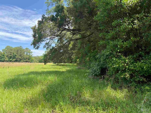 296 Salters Lake Rd, Century FL 32535 photo 11