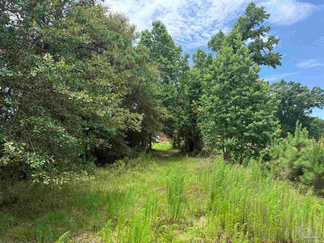 296 Salters Lake Rd, Century FL 32535 photo 19