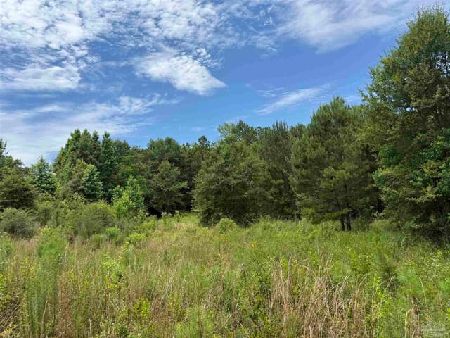 296 Salters Lake Rd, Century FL 32535 photo 35