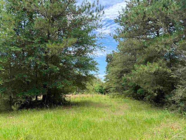 296 Salters Lake Rd, Century FL 32535 photo 31