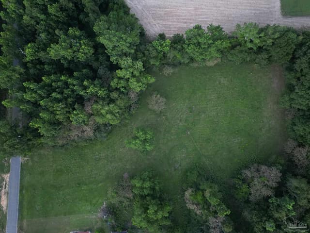 6701 Camp Henderson Rd, Jay FL 32565 photo 6