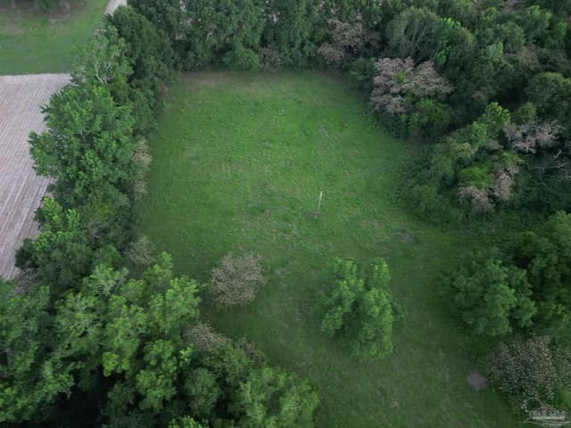 6701 Camp Henderson Rd, Jay FL 32565 photo 13