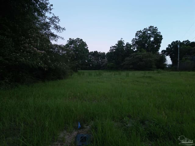 6701 Camp Henderson Rd, Jay FL 32565 photo 4