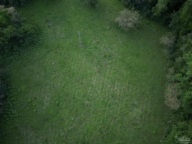 6701 Camp Henderson Rd, Jay FL 32565 photo 8