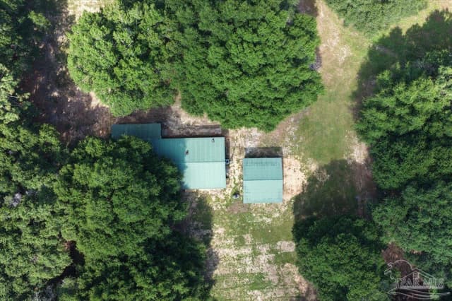 12400 Wildlife Rd, Holt FL 32564 photo 62