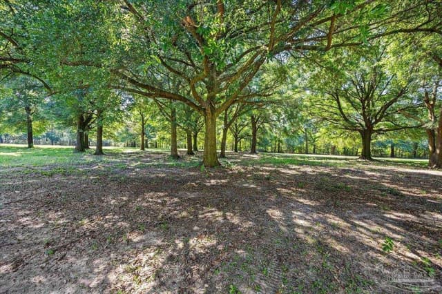 12400 Wildlife Rd, Holt FL 32564 photo 17