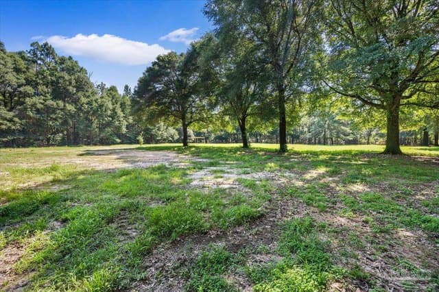 12400 Wildlife Rd, Holt FL 32564 photo 19