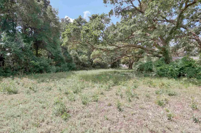 1903 John Carroll Dr property photo