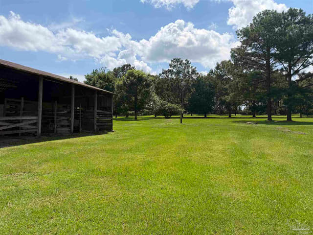 154 Perry Ln, Atmore AL 36502 photo 47