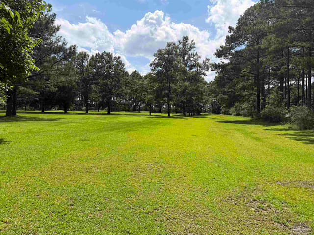 154 Perry Ln, Atmore AL 36502 photo 66