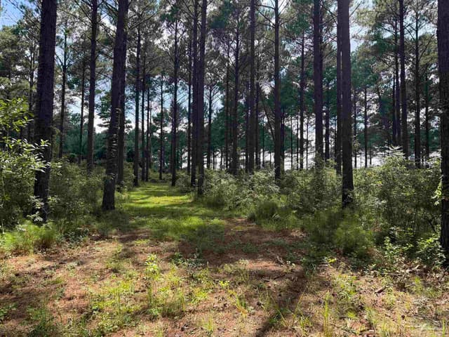 154 Perry Ln, Atmore AL 36502 photo 69