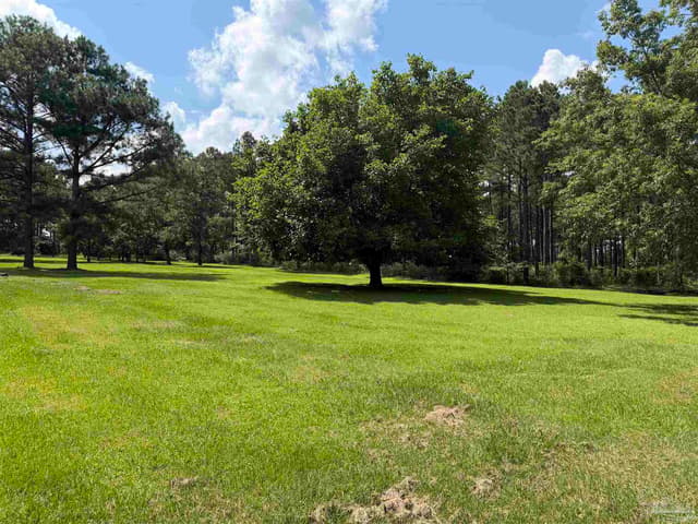 154 Perry Ln, Atmore AL 36502 photo 65