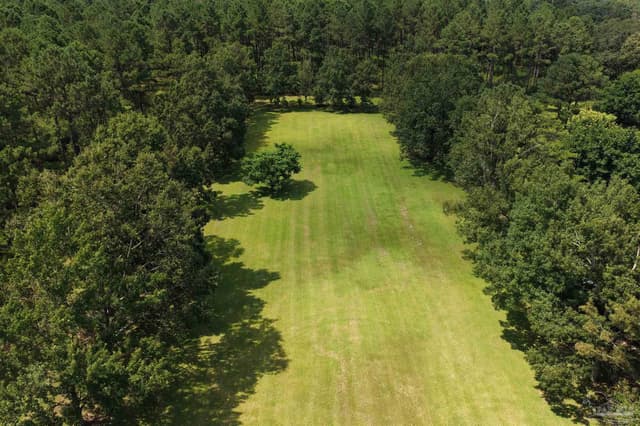 154 Perry Ln, Atmore AL 36502 photo 55