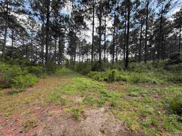 154 Perry Ln, Atmore AL 36502 photo 68