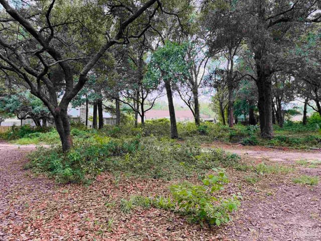 3540 Carlotta St, Pensacola FL 32503 photo 72