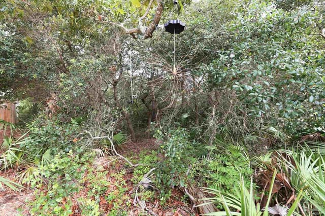 0 Dalton St Lot 37, Santa Rosa Beach FL 32459 photo 16