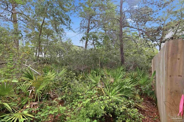 0 Dalton St Lot 37, Santa Rosa Beach FL 32459 photo 12