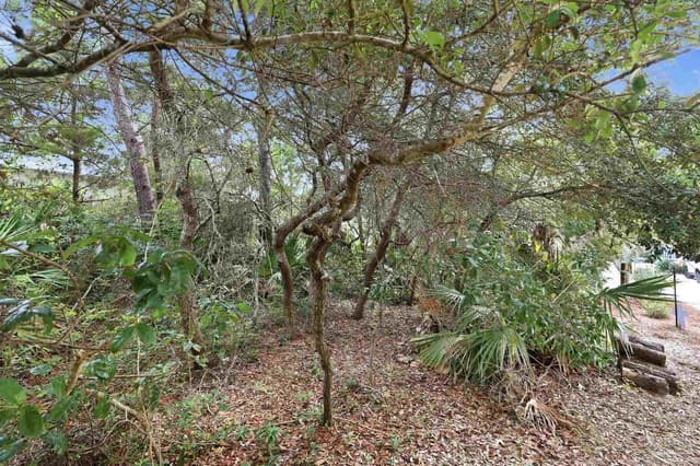 0 Dalton St Lot 37, Santa Rosa Beach FL 32459 photo 15