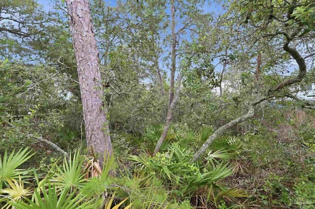0 Dalton St Lot 37, Santa Rosa Beach FL 32459 photo 11