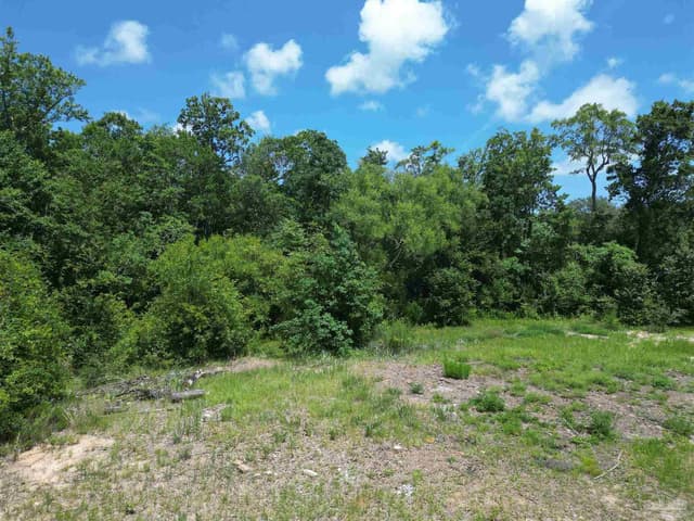2900 Sandpiper Cv property photo