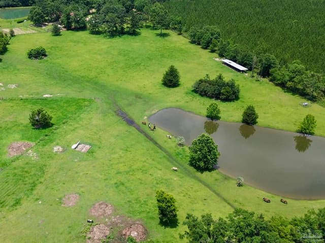 3010 N Hwy 97, Molino FL 32577 exterior