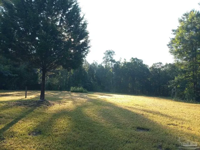 6506 Daniel Griffis Rd property photo