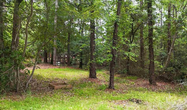 769 Bear Creek Ct, Gulf Shores AL 36542 photo 32