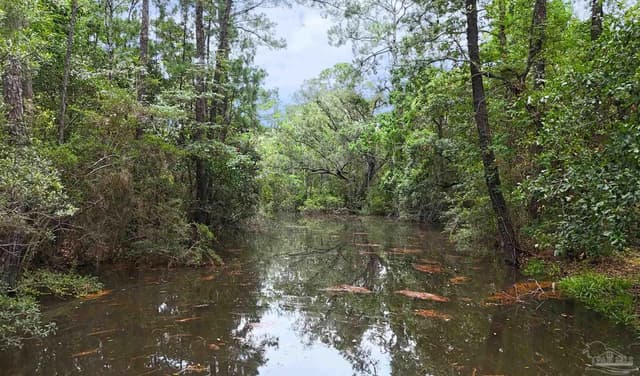 769 Bear Creek Ct, Gulf Shores AL 36542 photo 34